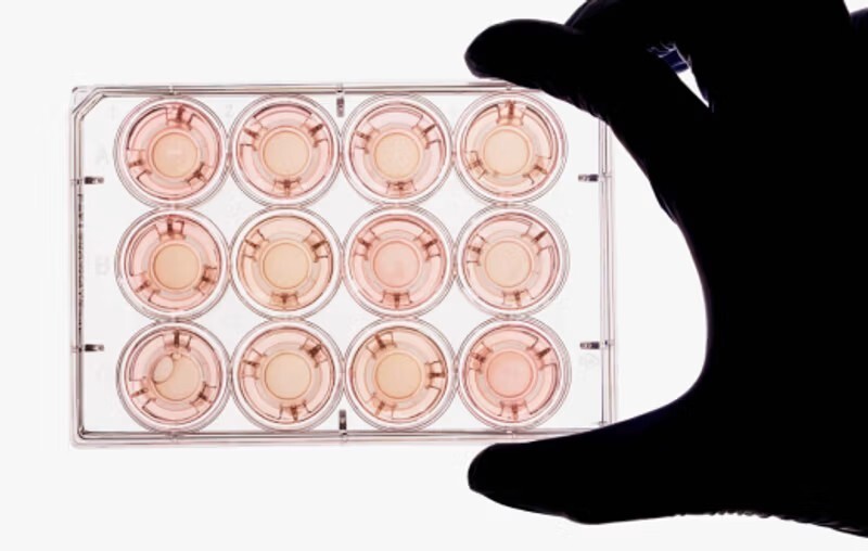 Clinically Developed