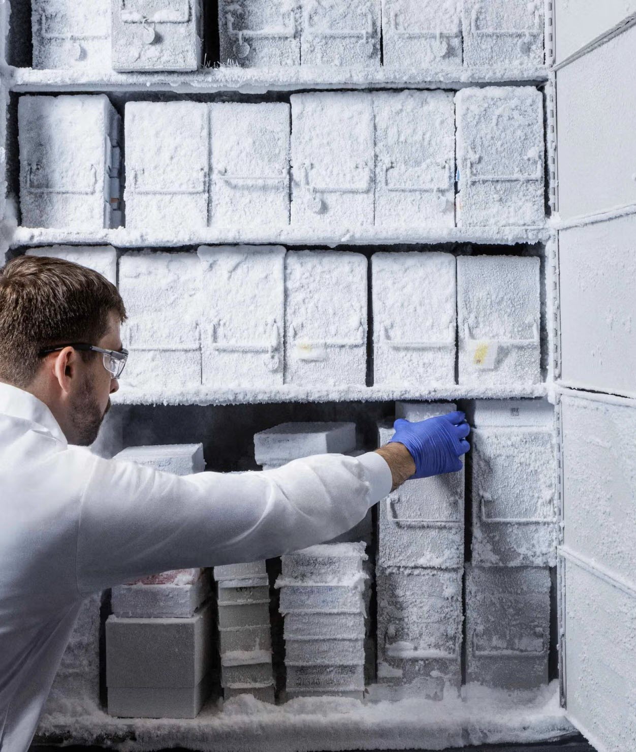 frozen sample room narrow frozen sample room narrow